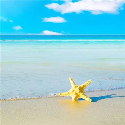 互利共赢 谱写中国东盟合作新篇章