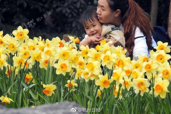 国产成人片_借你吉吉什么梗
